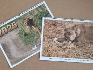 Fotografie 2: Nástěnný měsíční kalendář A3 na šířku 420 × 297 mm