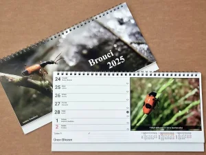Fotografie 4: Stolní týdenní kalendář 300 × 140 mm